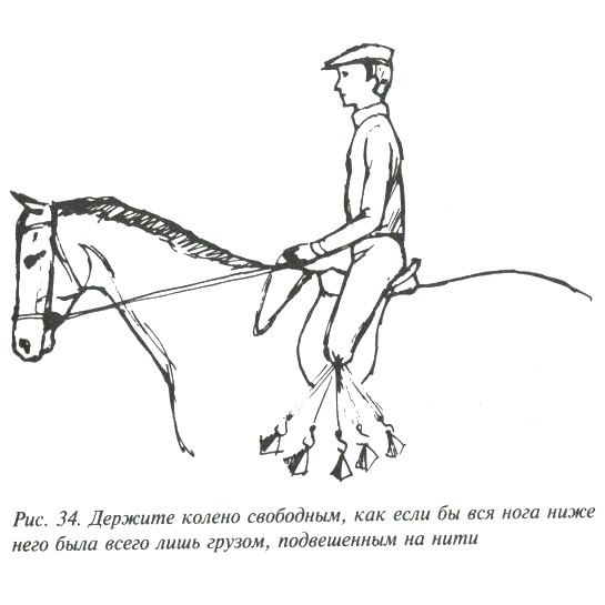 Гонит всадник коня держится за поводья смотрит